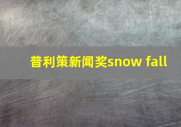 普利策新闻奖snow fall